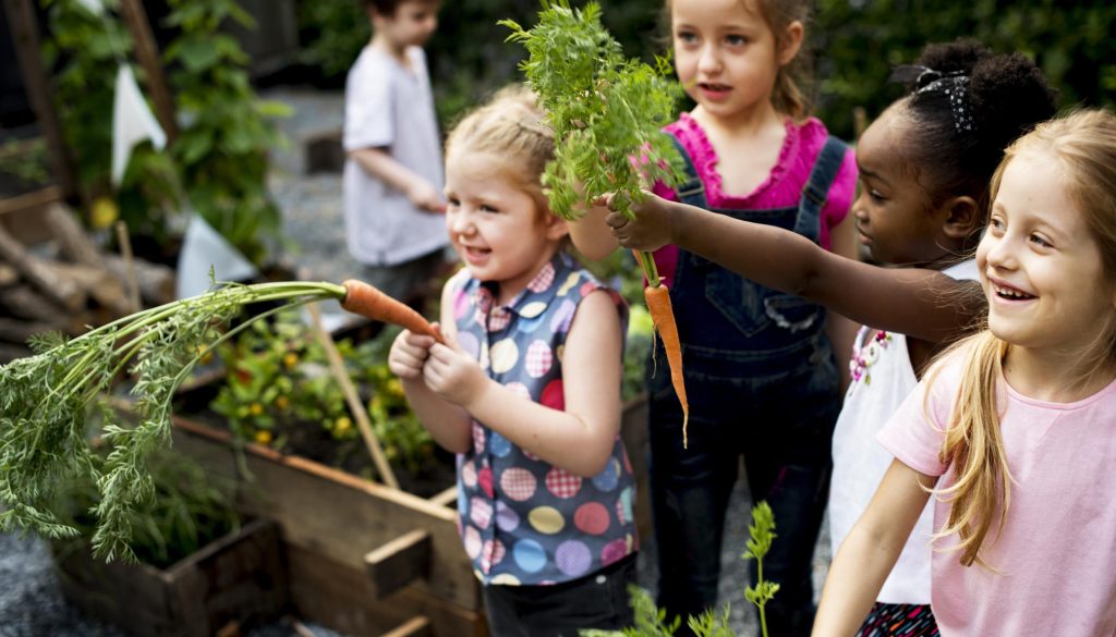 FCPE333-RESIZED-BLOG-IMAGE-FOR-MARCH-6