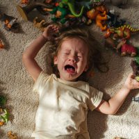 FCPE518-RESIZED-BLOG-IMAGE-FORJUNE-16